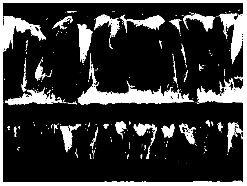 Hard alloy cutter surface coating etchant and application method thereof