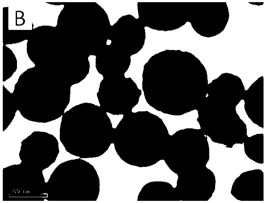 Preparation method of core-shell composite material wrapped in titanium dioxide nanoparticle coating