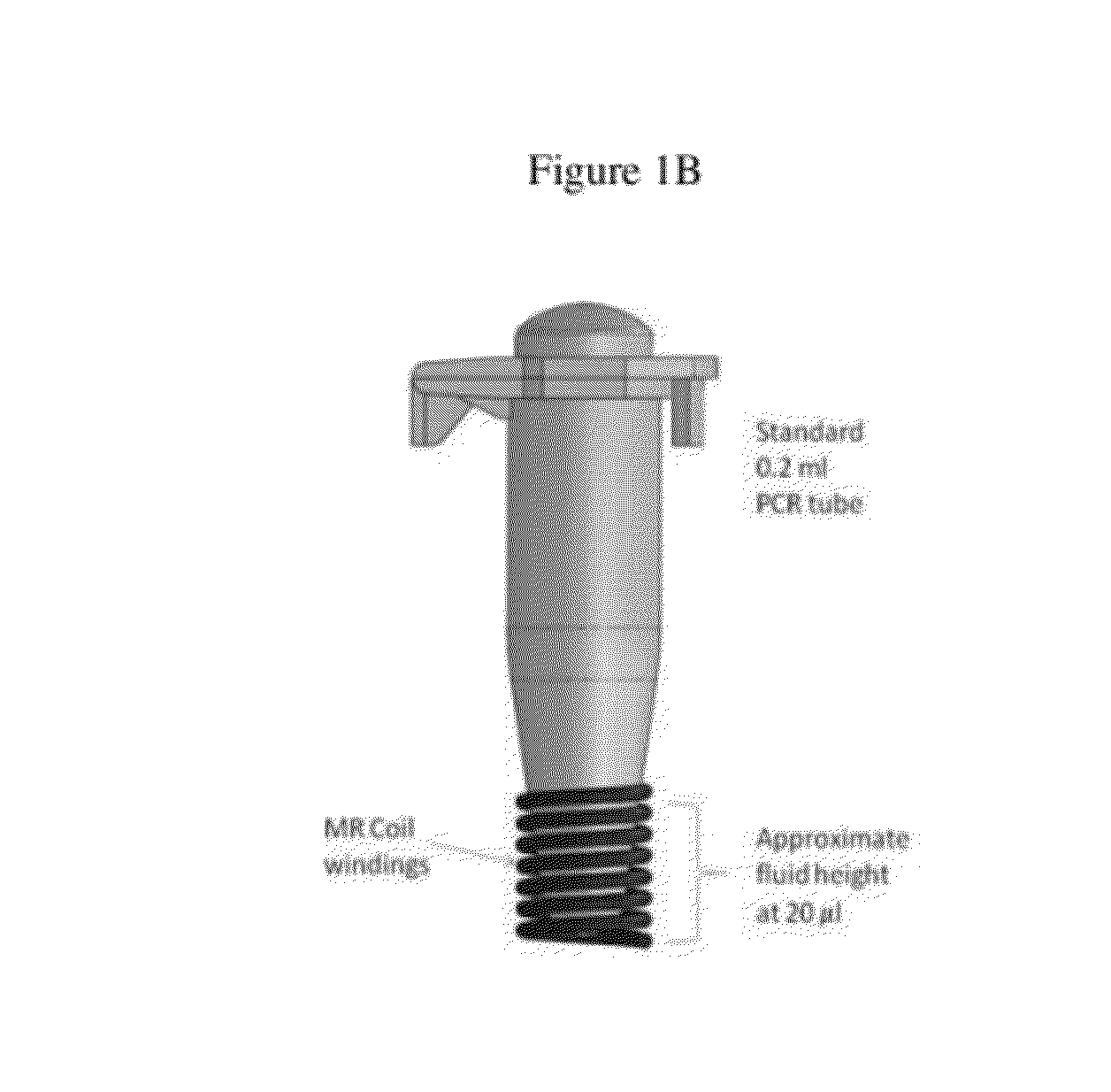 Nmr systems and methods for the rapid detection of analytes