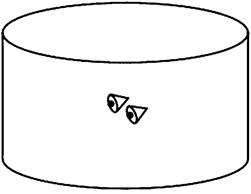 Light-field panorama camera