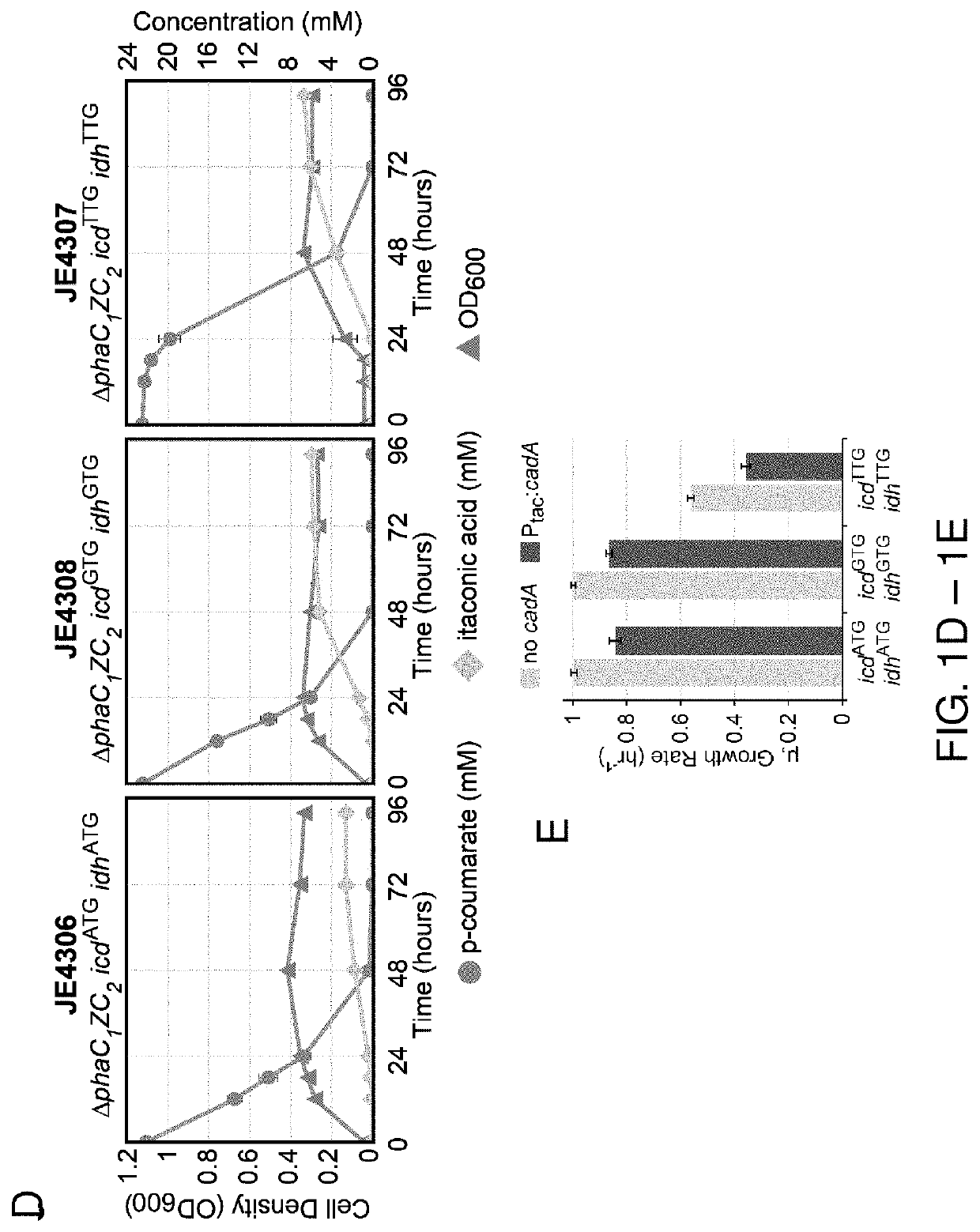 Production of itaconic acid and related molecules from aromatic compounds