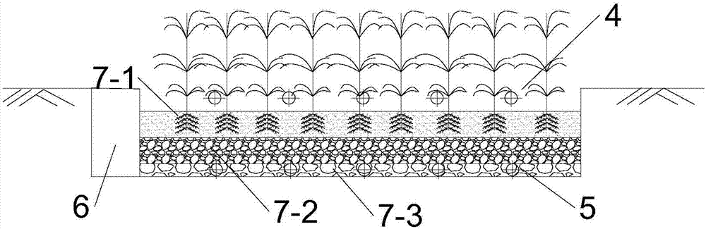 Artificial wetlands system for purifying roof rainwater containing washing wastewater