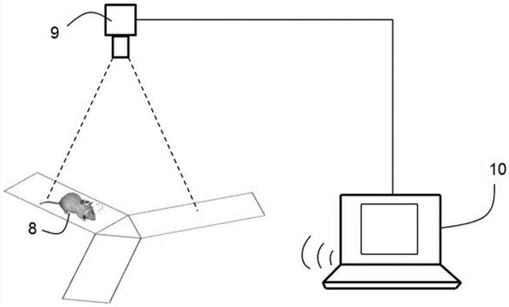 Three-arm maze device oriented to animal robot control training, and training method