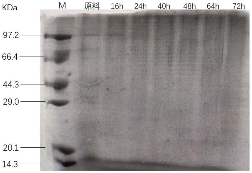 Method for co-producing ellagic acid and biological feed through microbial community fermented pomegranate rind