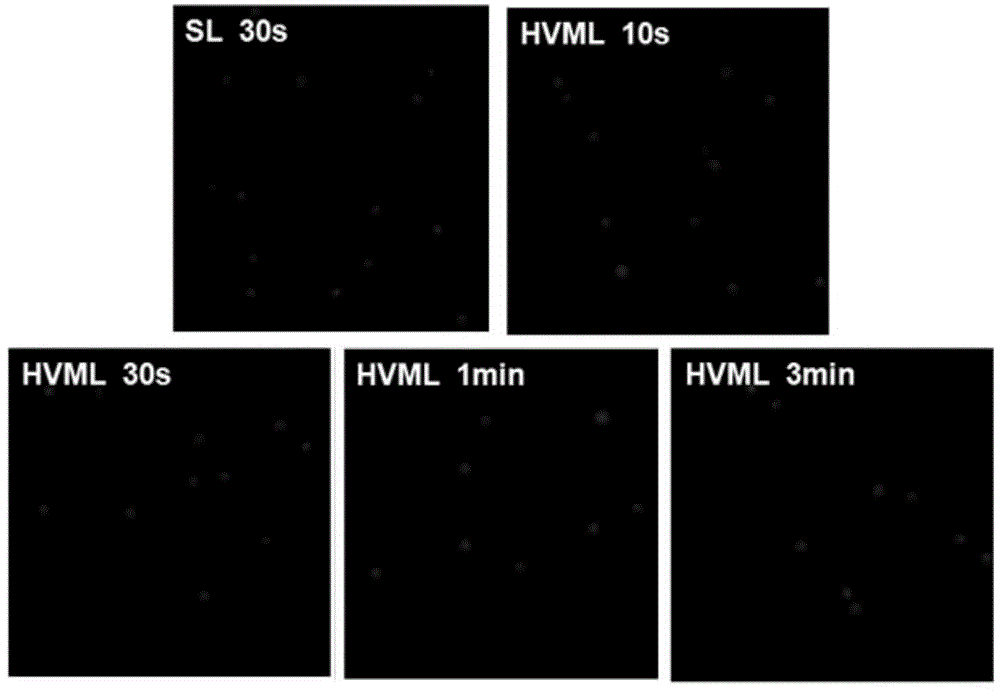 Method for single cell gel electrophoresis of algal cells