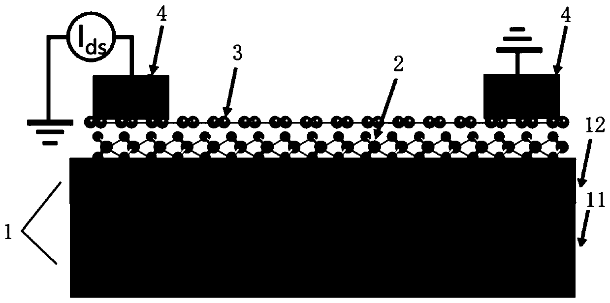 Molybdenum sulfide-graphene heterojunction photoconductive detector and preparation method thereof