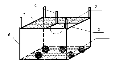 Epiphytic diatom culture and collection device