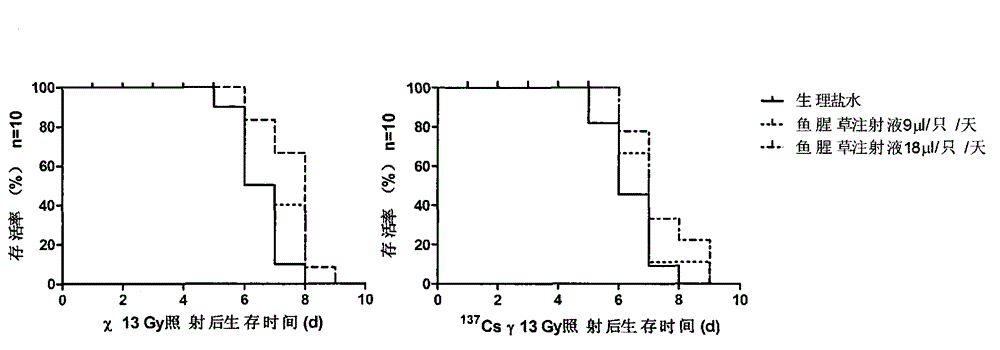 Application of herba houttuyniae in preparation of medicines for preventing and treating ionizing radiation injury