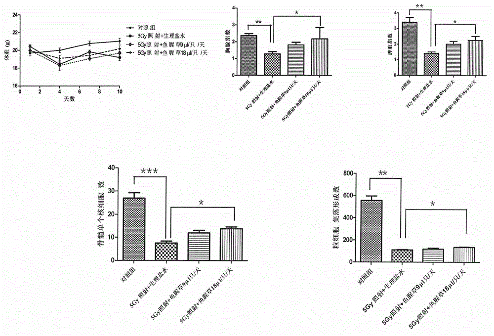 Application of herba houttuyniae in preparation of medicines for preventing and treating ionizing radiation injury