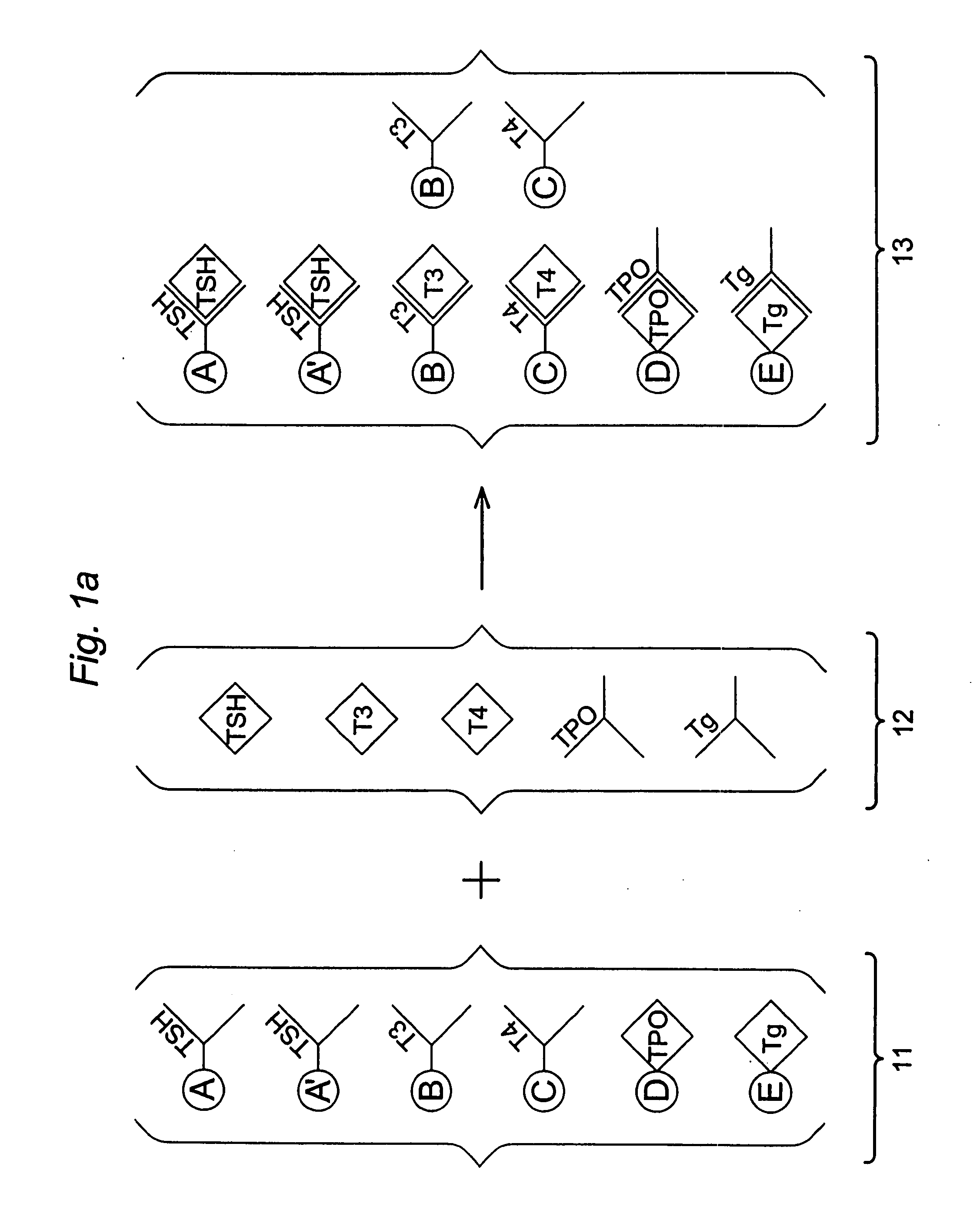 Multi-analyte diagnostic test for thyroid disorders