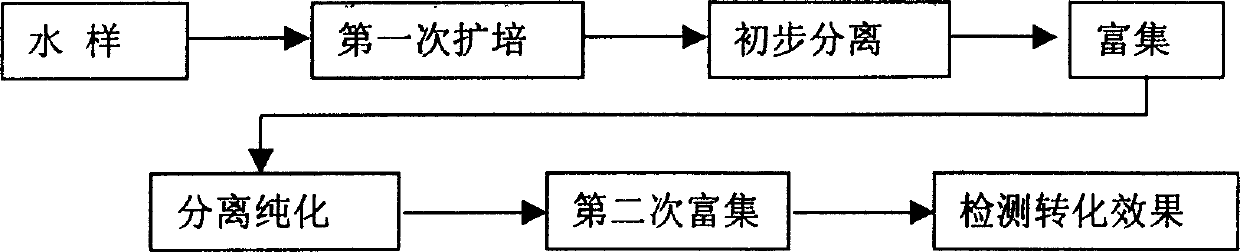 High efficiency nitrogen circulating bacteria artificial screening and application in aquatic state sepairing and water treatment