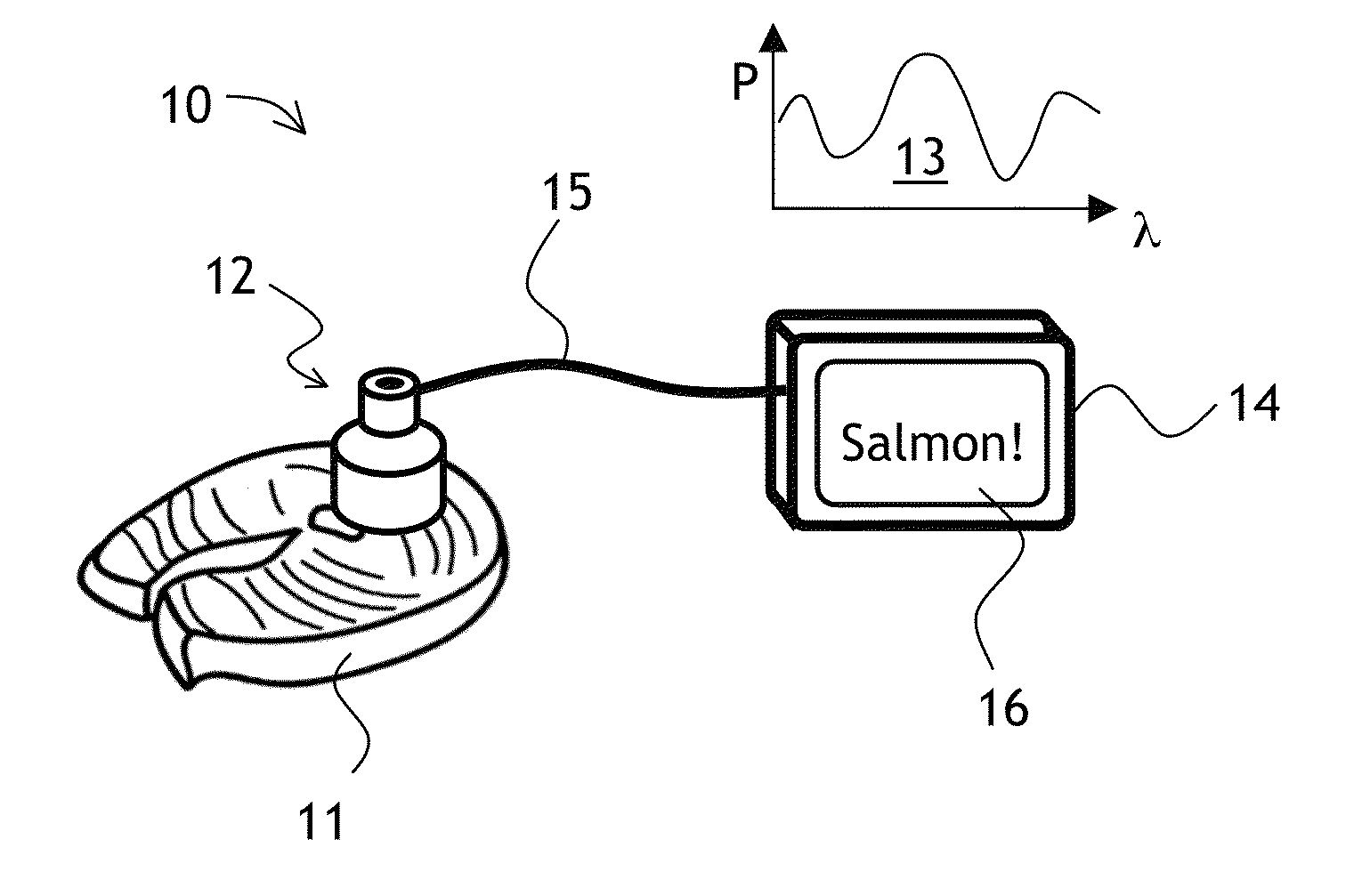 Spectroscopic characterization of seafood