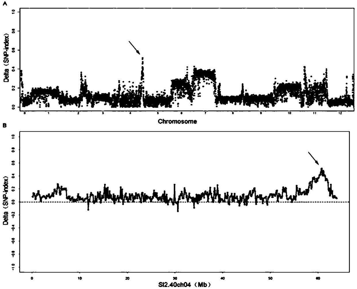 Molecular marker closely linked to salt tolerance of tomato and application thereof