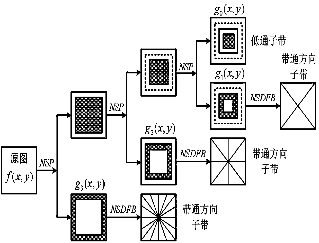 NSCT domain infrared image enhancement method based on improved Retinex and quantum flora algorithm