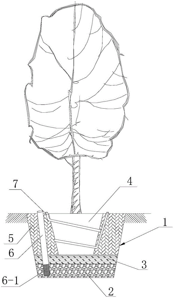 The method of transplanting large-scale landscape trees in saline-alkali land and the structure layout of transplanted tree holes