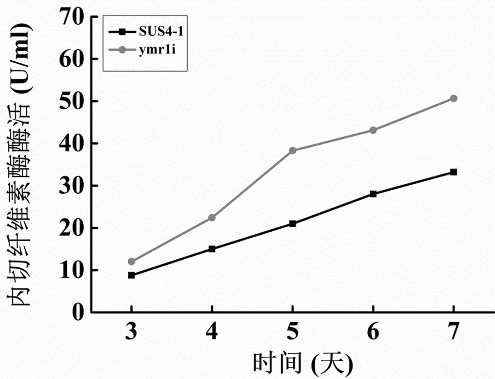 Method for improving cellulase expression of trichoderma reesei by interfering phosphatase gene