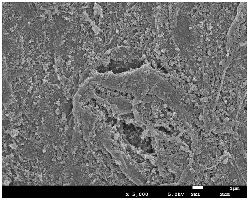 A hybrid doped polypyrrole paper-based flexible electrode material and its preparation method