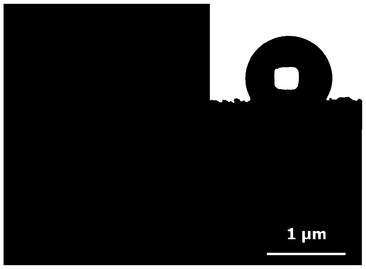 Method for preparing superhydrophobic polyurethane sponge by biomineralization method