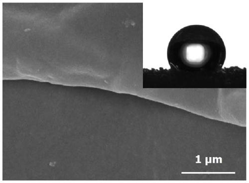 Method for preparing superhydrophobic polyurethane sponge by biomineralization method