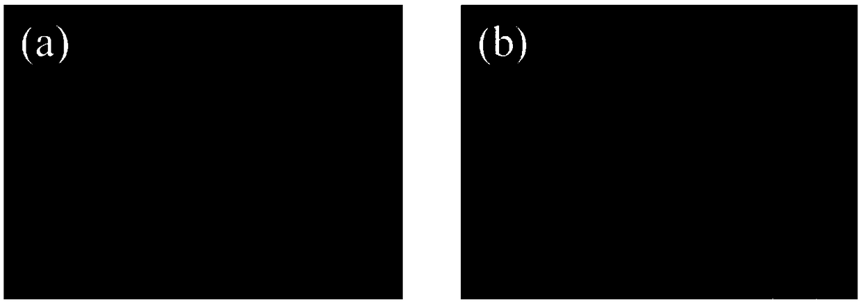 Environmentally-friendly aqueous battery and preparation method thereof