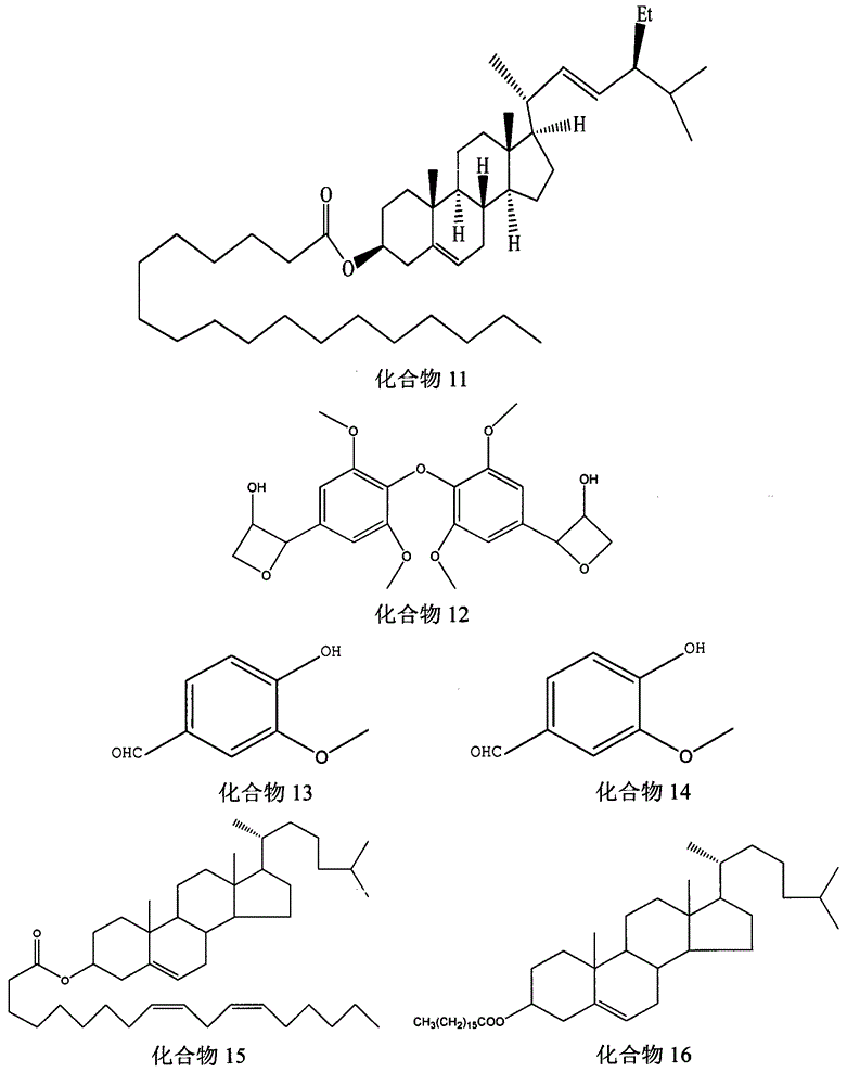 Sarcopyramis nepalensis extract and application thereof