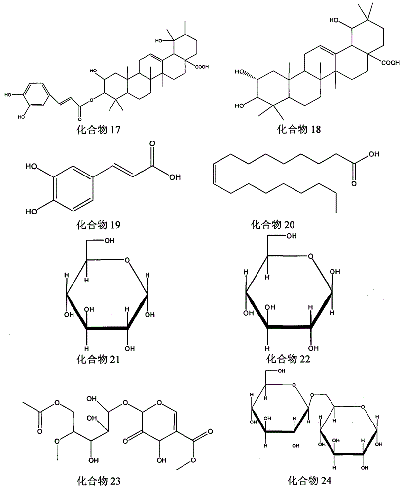 Sarcopyramis nepalensis extract and application thereof