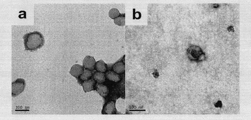 Method for preparing nano silicon dioxide/polyacrylate composite emulsion