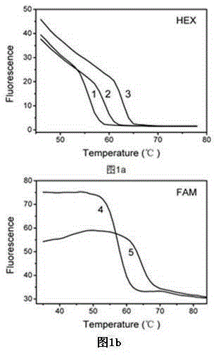 Melting curve analysis based oral pathogen multiple PCR (polymerase chain reaction) detection method