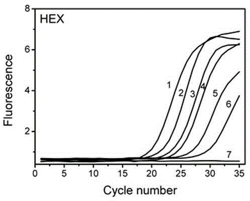 Melting curve analysis based oral pathogen multiple PCR (polymerase chain reaction) detection method