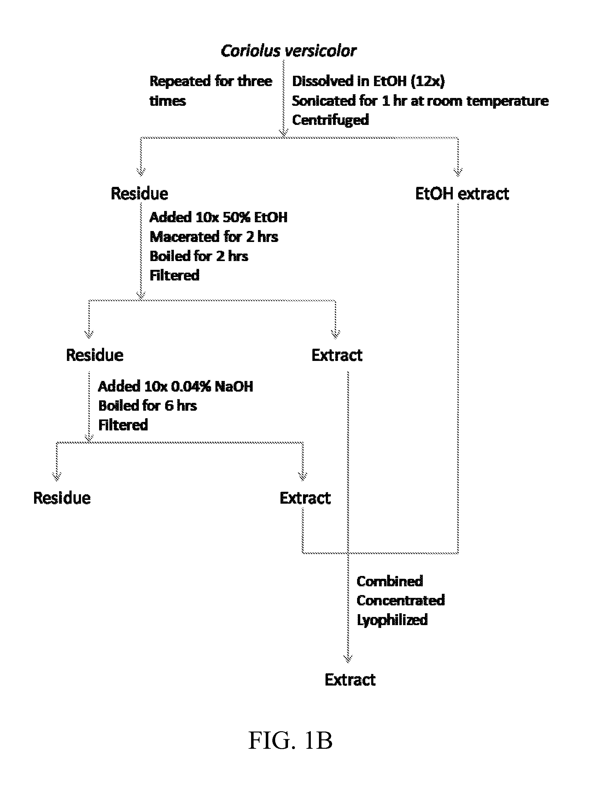 Coriolus versicolor extracts, methods of preparation and uses thereof