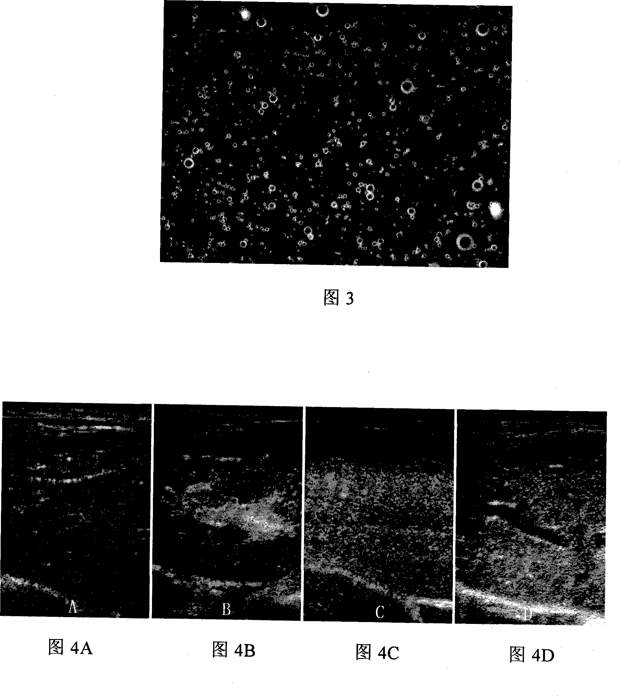 Novel type radiographic contrast suitable for multi-imaging pattern