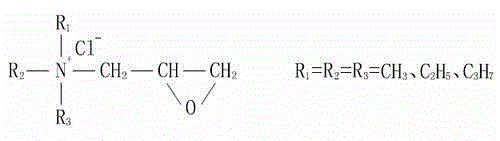 Cellulose fiber cationic modification process