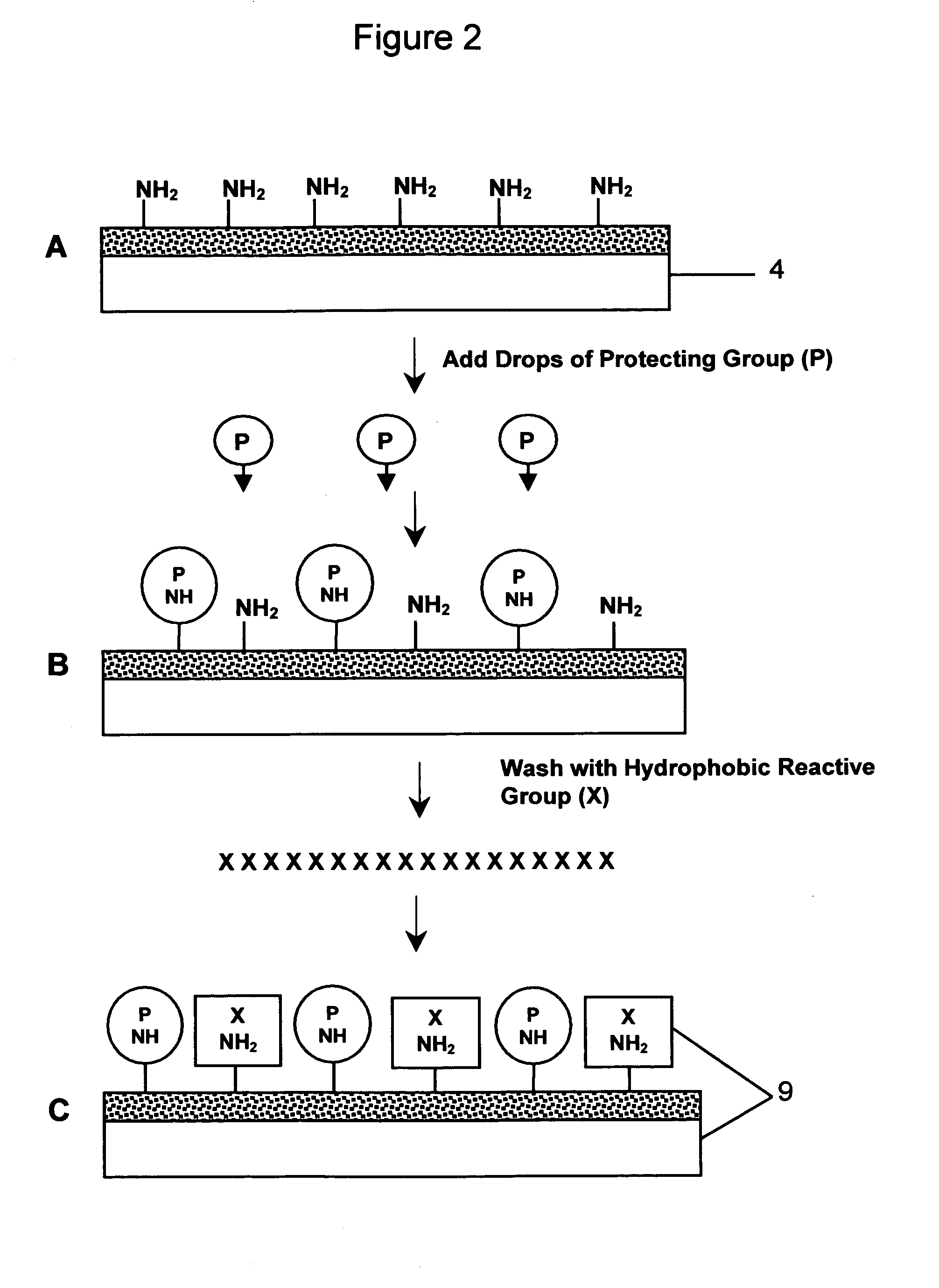 Miniaturized cell array methods and apparatus for cell-based screening