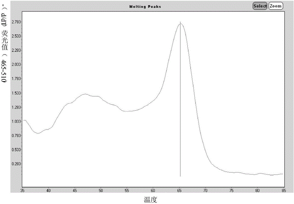 Primer for simultaneously detecting diversified respiratory viruses on basis of melting curve processes and single tube and application of primer