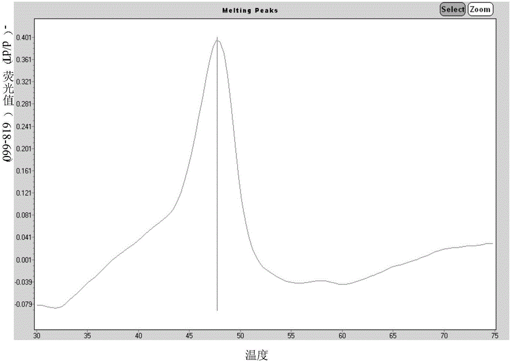 Primer for simultaneously detecting diversified respiratory viruses on basis of melting curve processes and single tube and application of primer