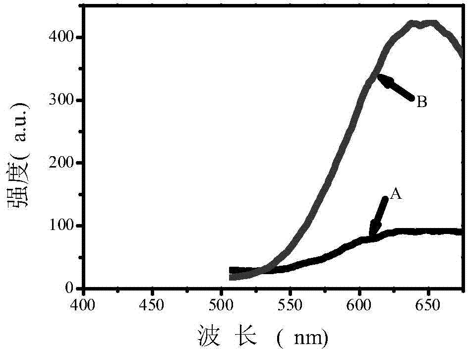 Catalase fluorescence determination method based on gold nano-cluster probe