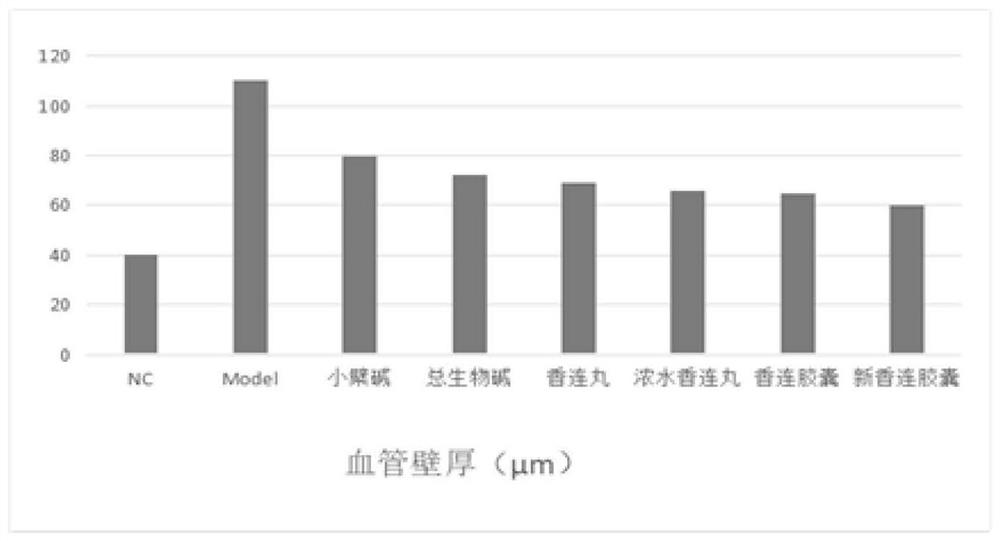 Novel application of Xianglian pill product