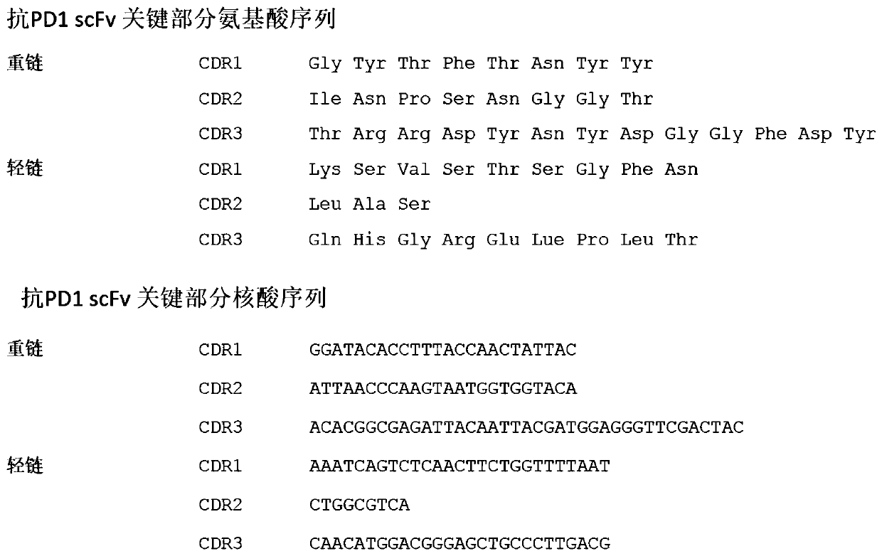 Engineering nucleic acid, T cell, and applications and production method thereof