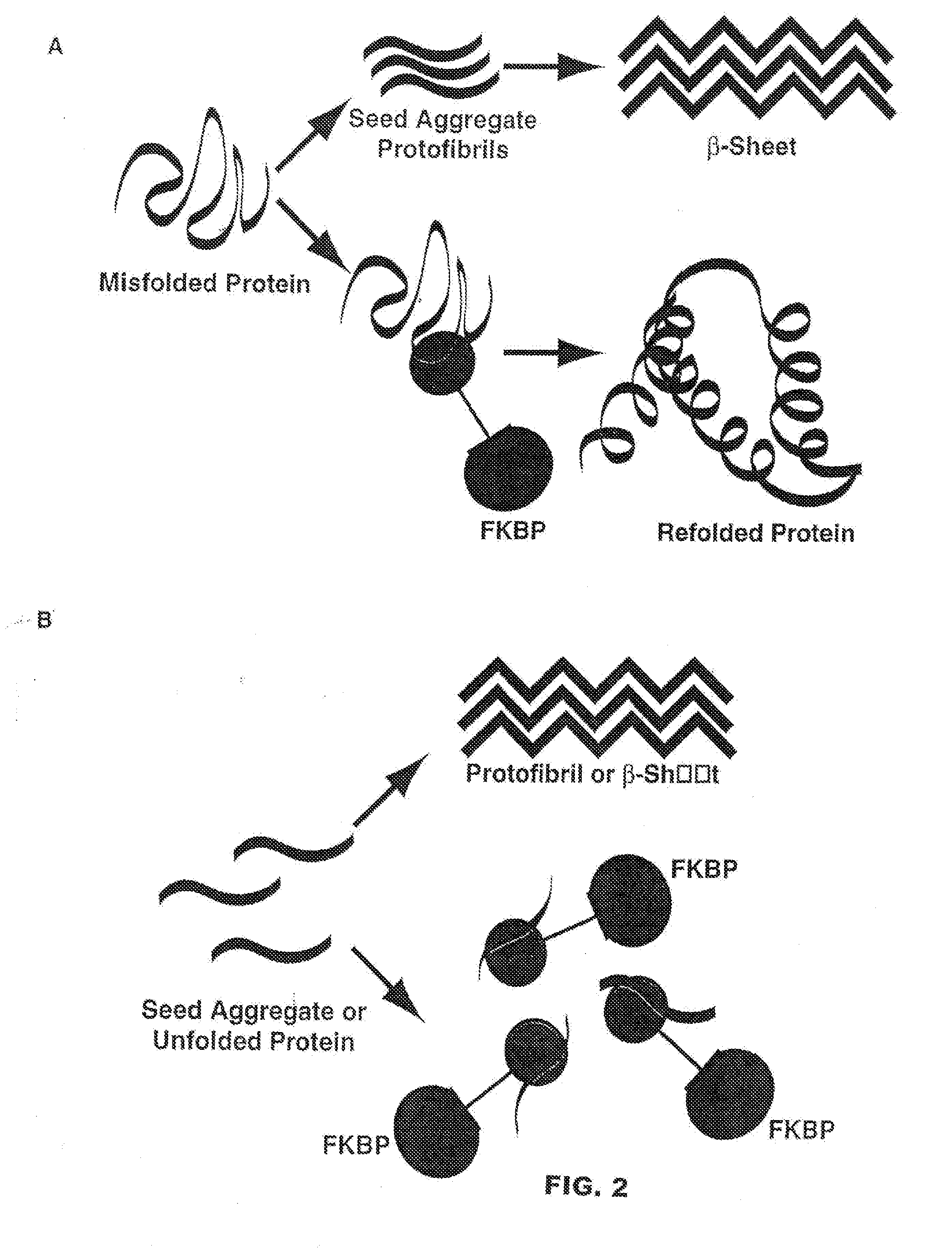 Neurodegenerative protein aggregation inhibition methods and compounds