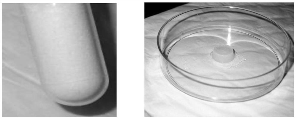 A kind of extracellular matrix material with high biological activity and its preparation method and application