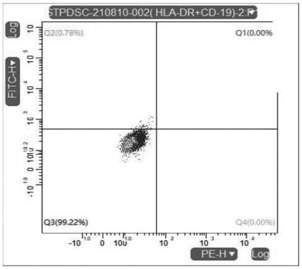 Dental pulp mesenchymal stem cell culture medium and application method thereof