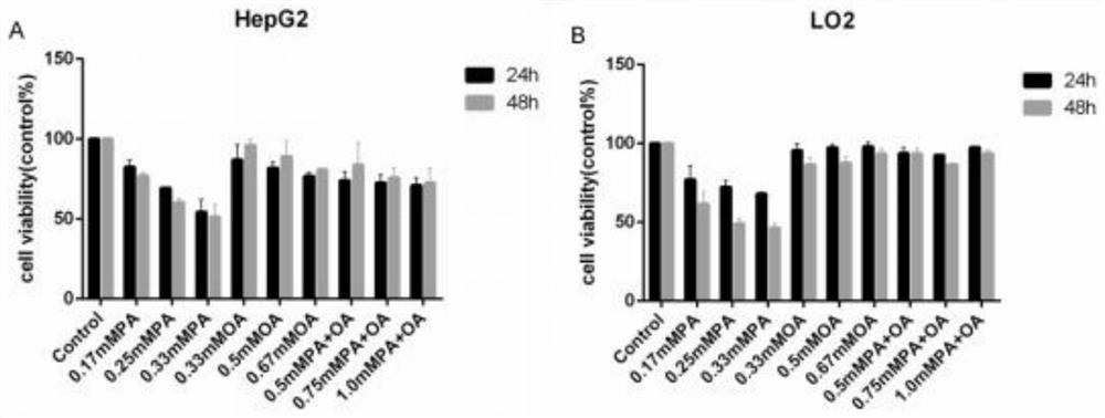 Metabolism-related fatty liver disease in-vitro cell model and construction method thereof