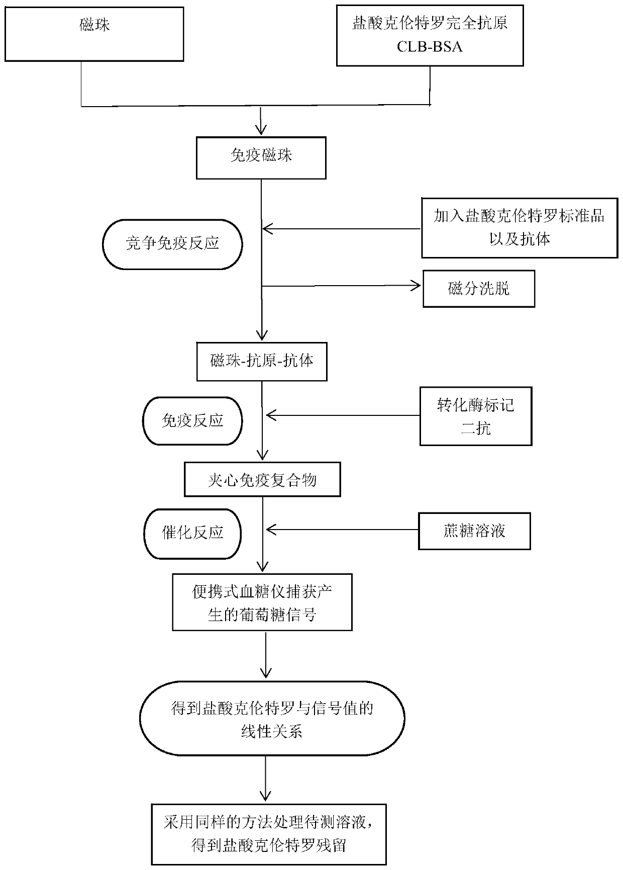 A method for detecting clenbuterol hydrochloride residues based on a blood glucose meter