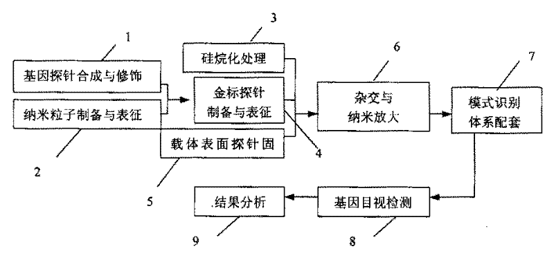 Nanometer particle mark gene probe and its preparing method and use