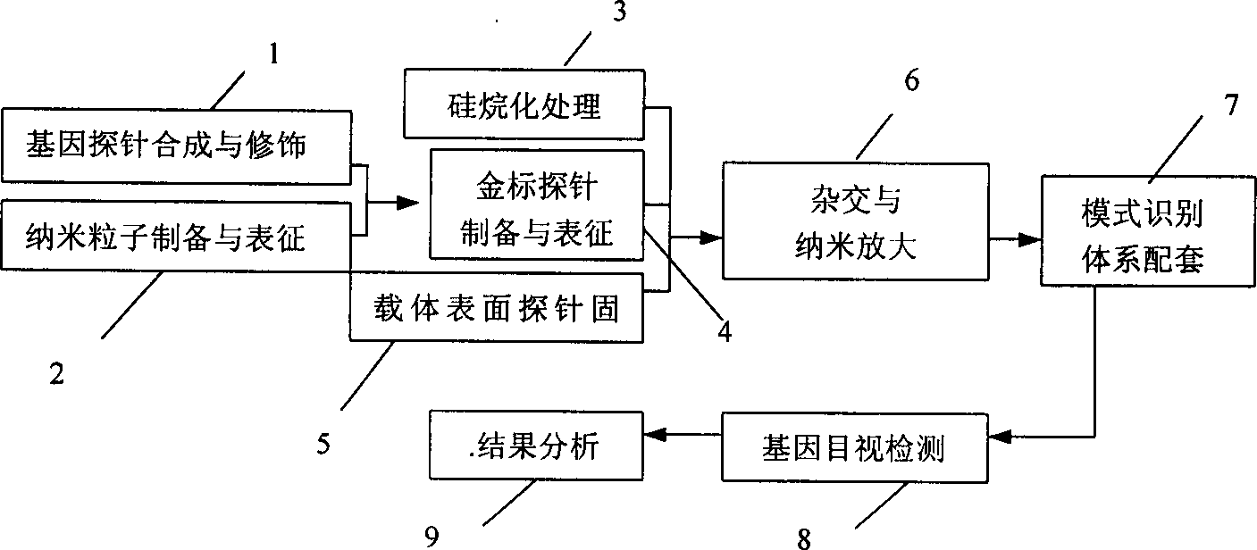 Nanometer particle mark gene probe and its preparing method and use