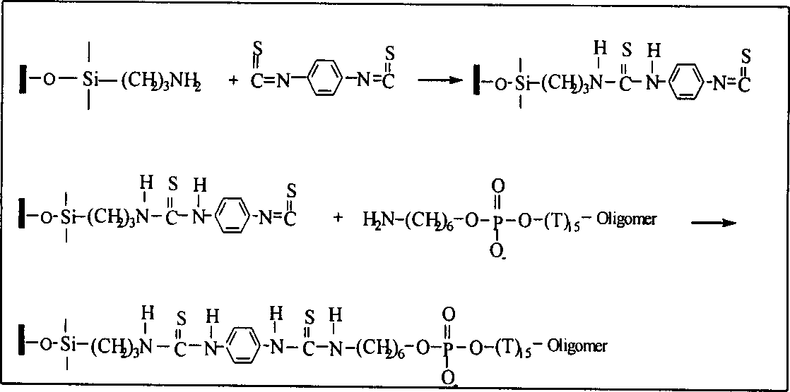 Nanometer particle mark gene probe and its preparing method and use