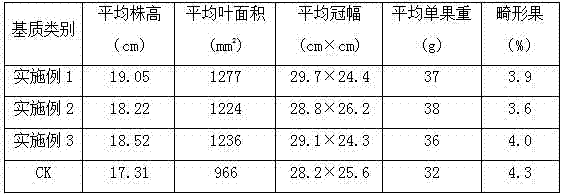 Culture medium for strawberry water/fertilizer integrated facility culture technology