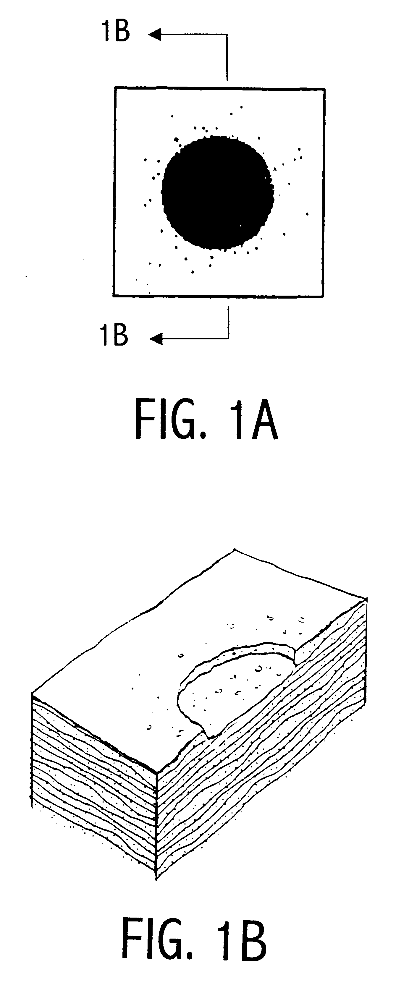 Photoionization enabled electrochemical material removal techniques for use in biomedical fields