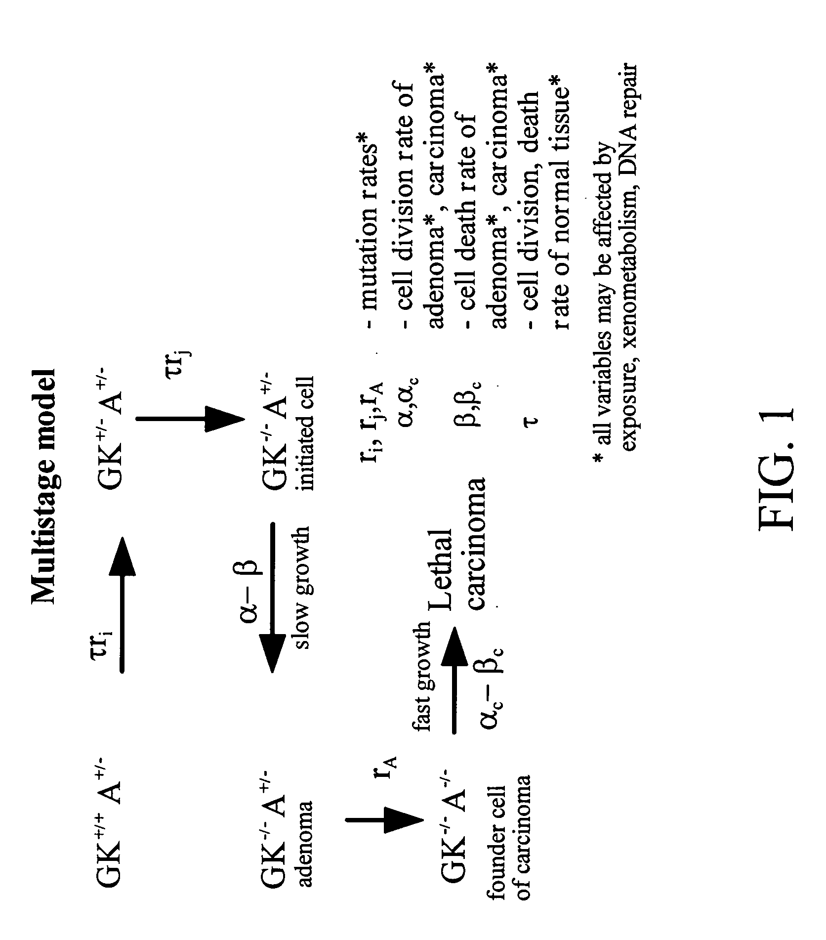 Methods of identifying point mutations in a genome that affect the risk for or the age of appearance of disease