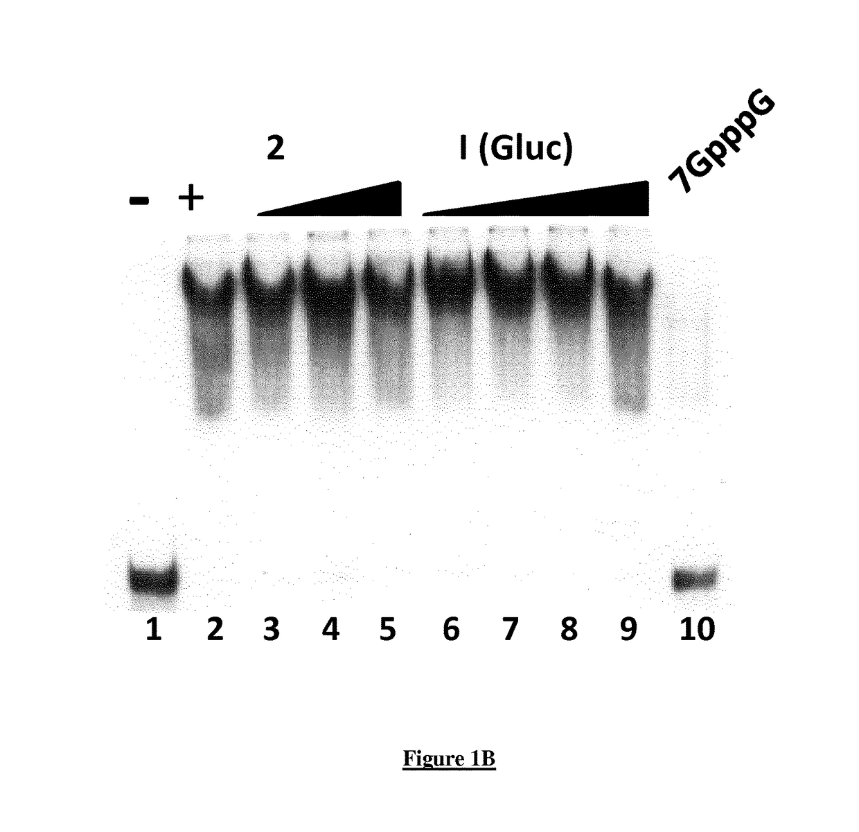 A new quinoline derivative for use in the treatment and prevention of viral infections